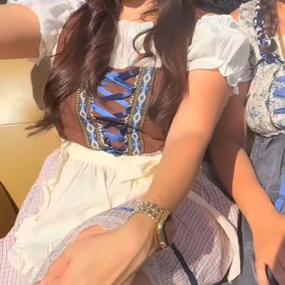 Brown and White Dirndl Dress with Apron